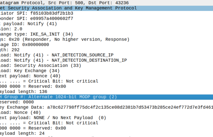 excerpt udp payload